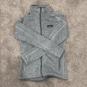 Patagonia Heather Gray Full-Zip Fleece Jacket